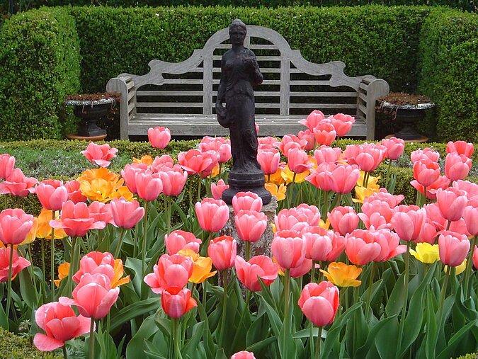 Garten gestalten Hintergrund