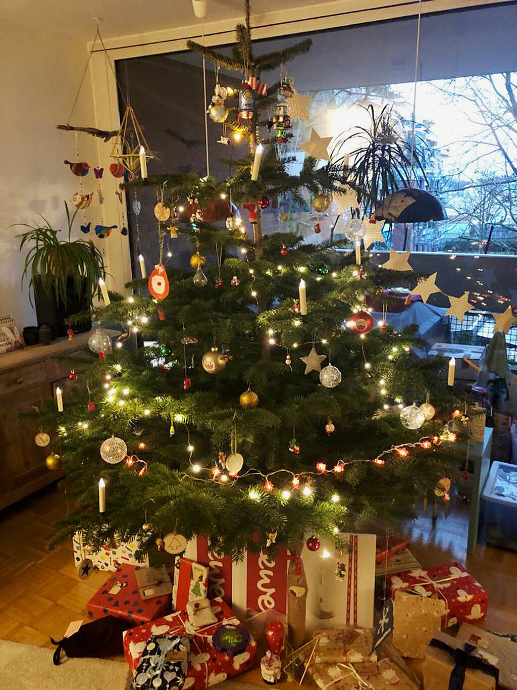 Nachhaltiger Weihnachtsbaum: Tipps für Kauf und Entsorgung