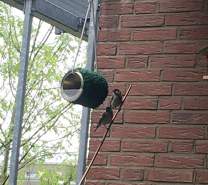 Tipps zum Heimwerken mit Kindern: Zwei Spatzen sitzen vor einem selbstgebauten Vogelhaus aus einer aufgehängten Konservendose – Upcycling-Idee für naturnahes Basteln mit Kindern.