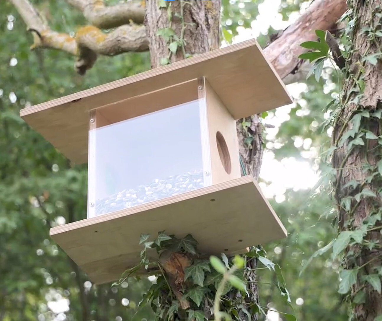Eichhörnchen-Futterhaus selbst bauen