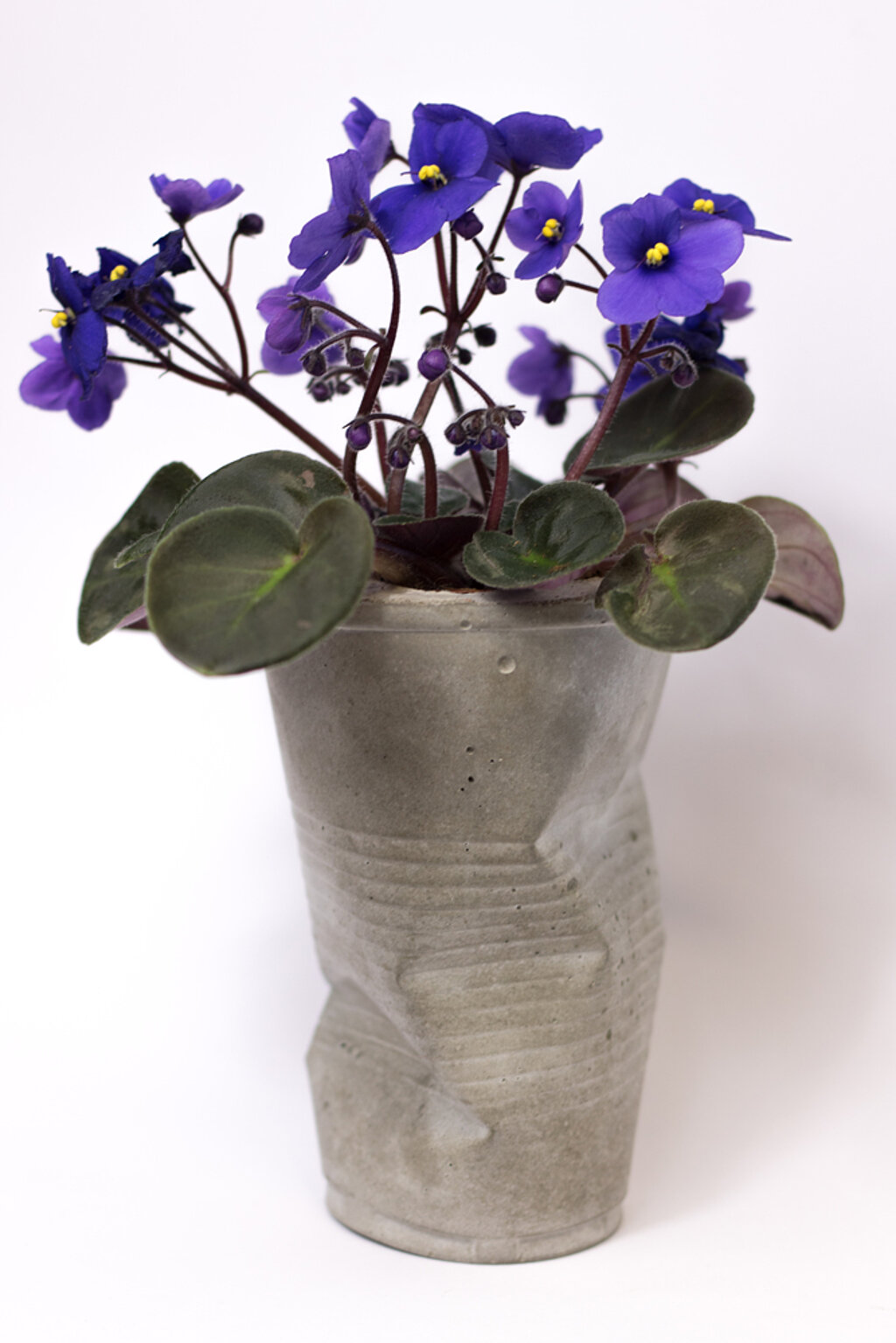 Vase aus Beton