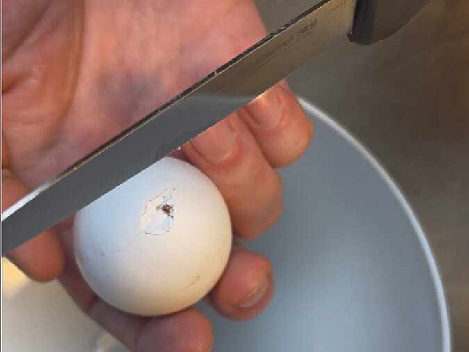 Osterkranz aus Eierschalen basteln Vorbereitung mit Ei vorsichtig anschneiden und öffnen über einer Schüssel