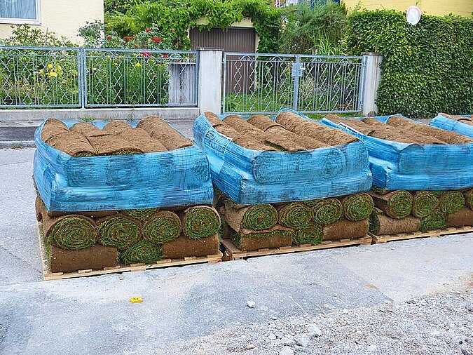 Rollrasen verlegen auf Palette 
