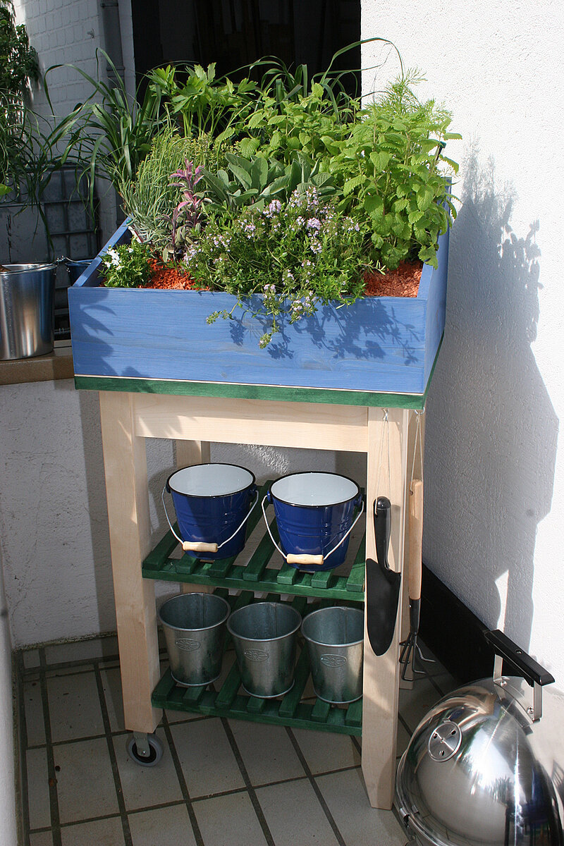Frische Kräuter vom Balkon