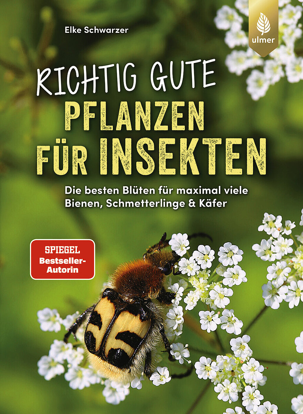 Ein Buchcover auf dem eine Biene auf einer Wiesenblume sitzt