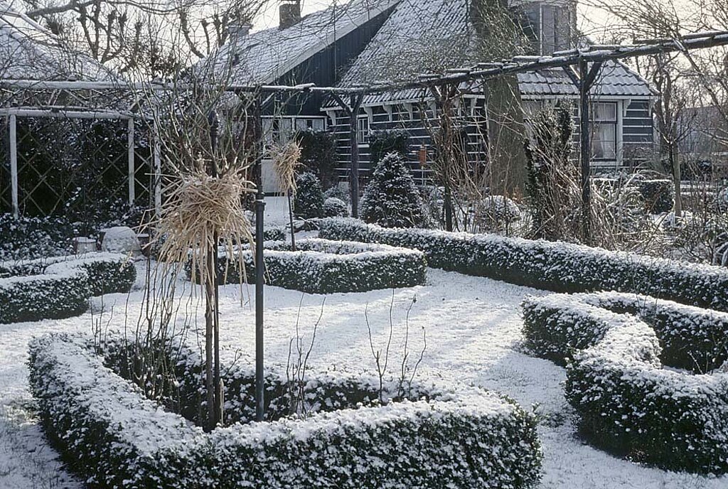 Garten im Winter Hecken Schnitt
