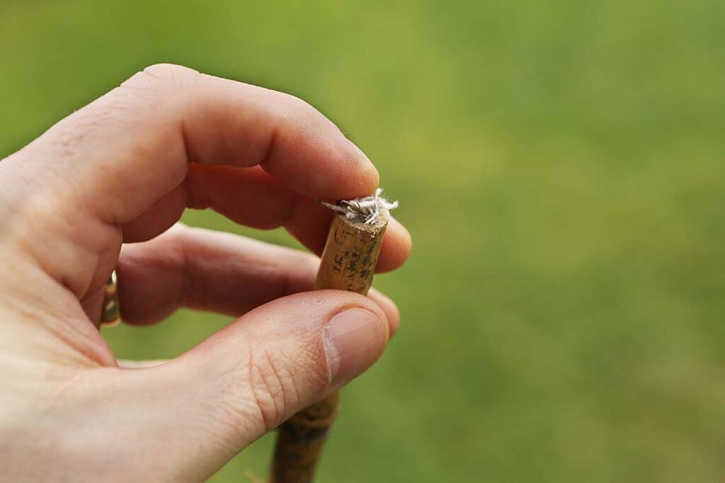 Insektenhotel Wildbienen Bambusrohr verstopfen