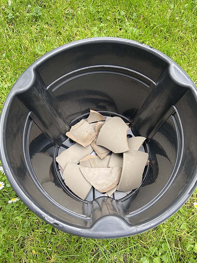 Gemüse vermehren Regrowing Kartoffel