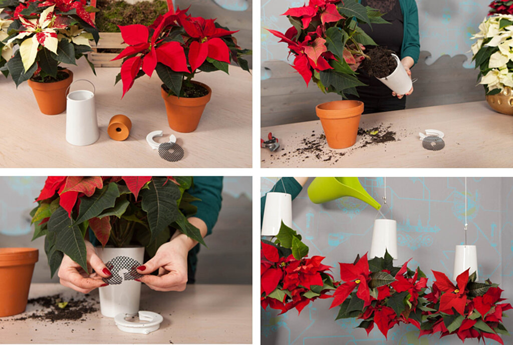 Weihnachtsdeko mit Weihnachtsstern 