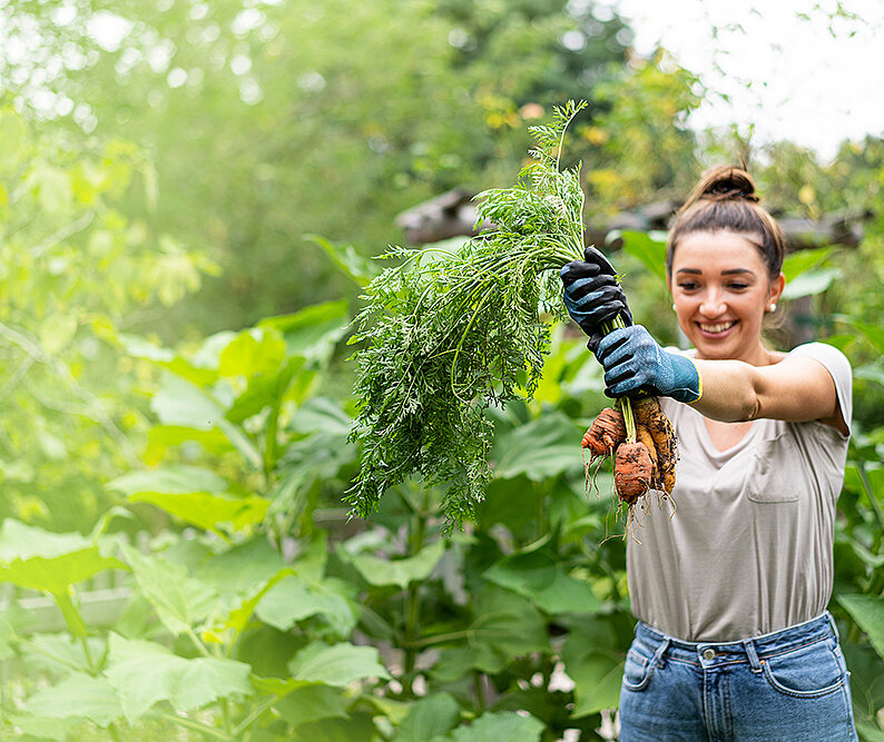 Gemüsegarten richtig planen