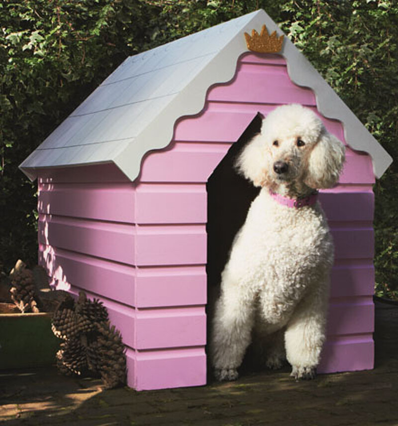 Hundehütte selbst bauen