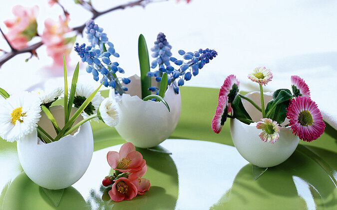 DIY-Vase aus Eierschalen