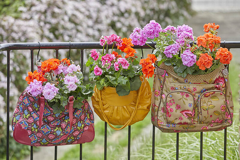 8 Ideen für Blumentöpfe im Sommer-Outfit