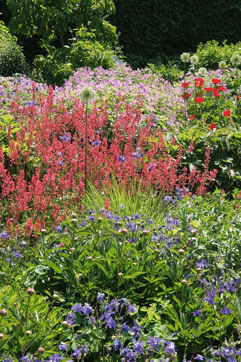 Staudenbeete im Garten