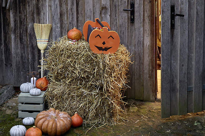 bosch halloweenkiste aufmacher02