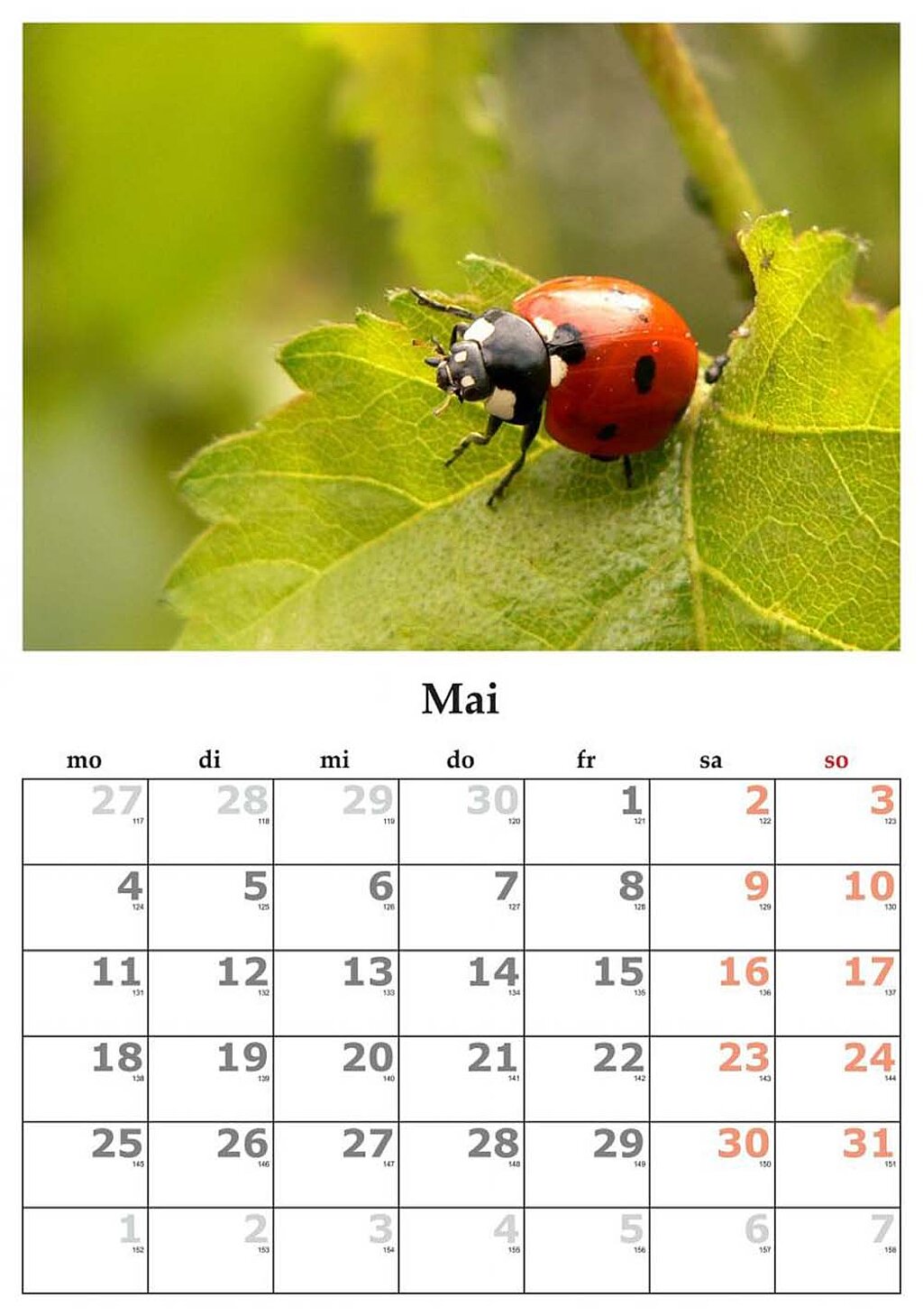 Foto-Ideen Kalender