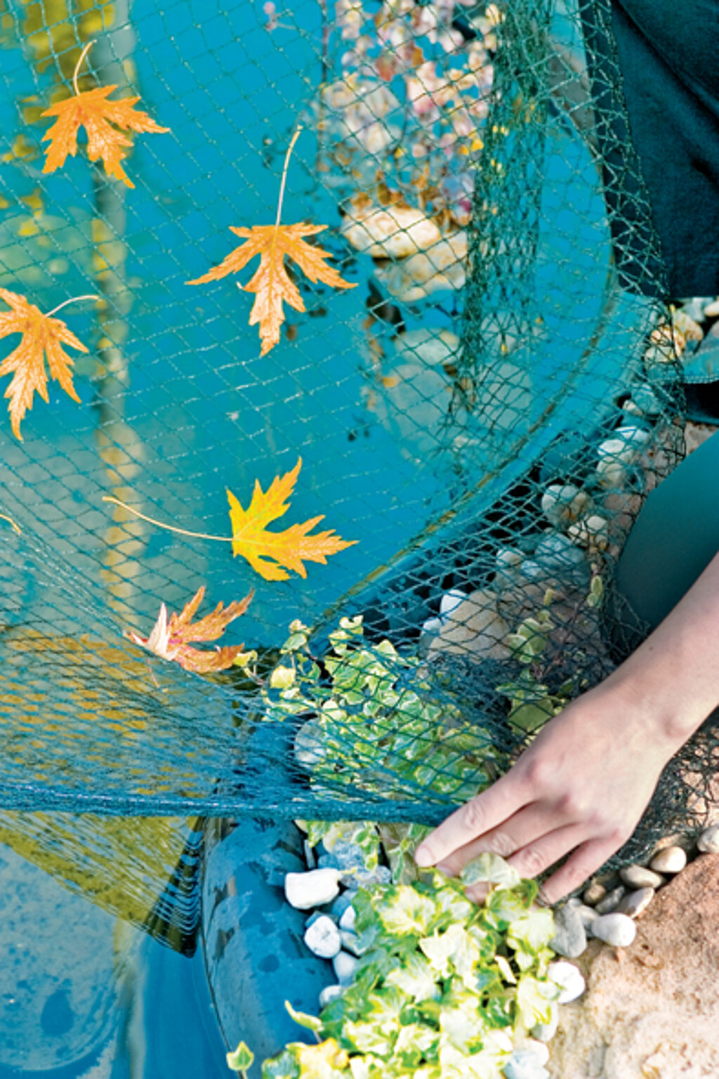 Laubschutznetz für den Gartenteich