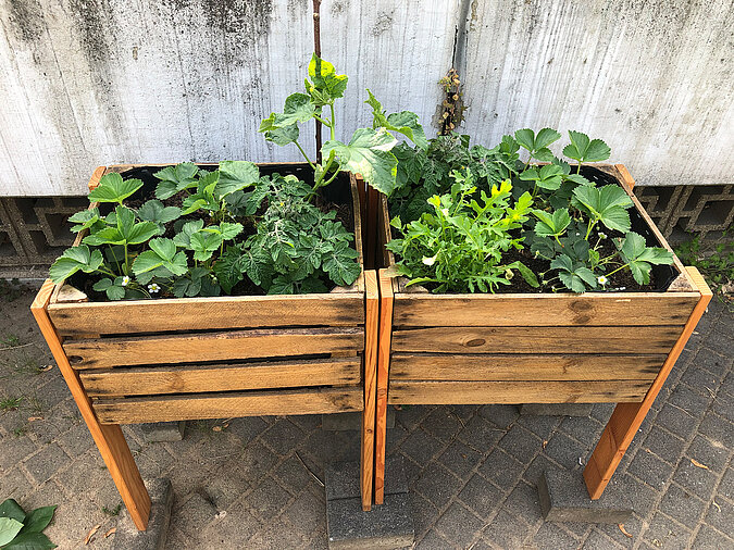 DIY Academy Obstkisten Hochbeet einfach 02