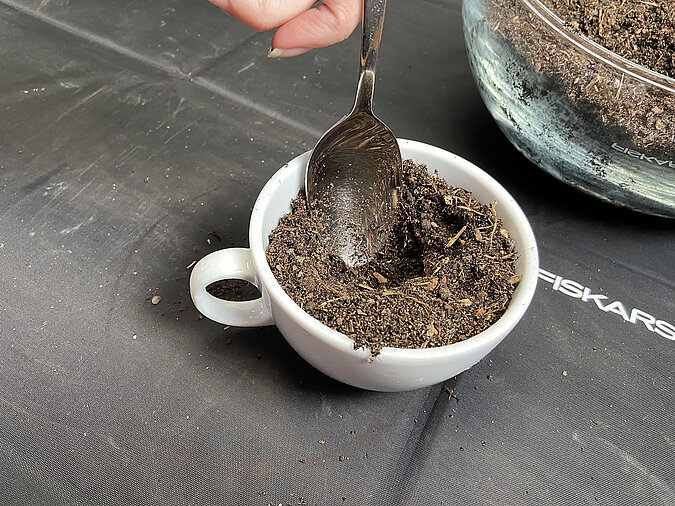 Tassengarten basteln und mit einem Löffel eine Pflanzmulde in die gefüllte Tasse formen