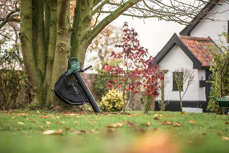 Haus Garten Herbst Winter