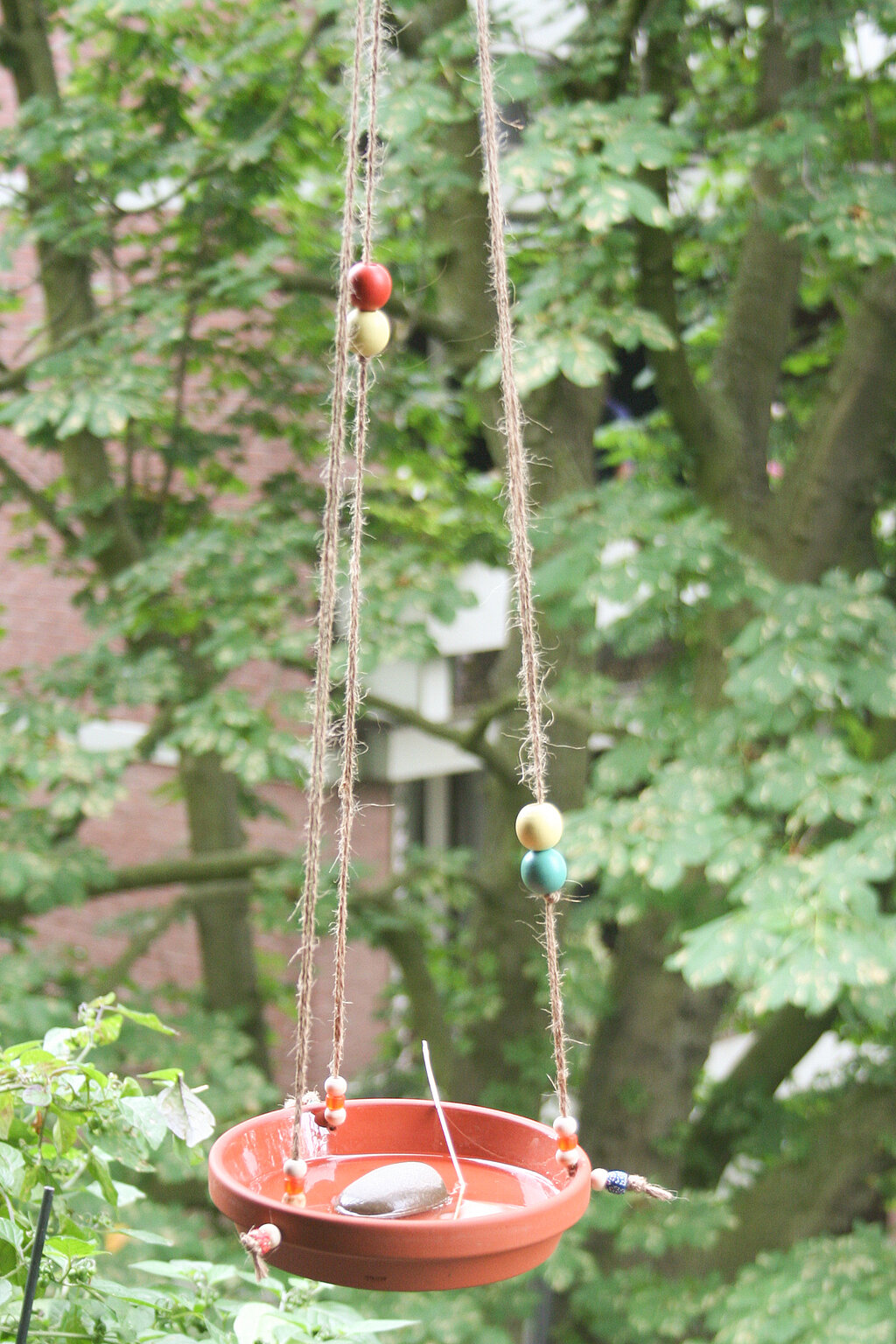 DIY-Vogeltränke bauen