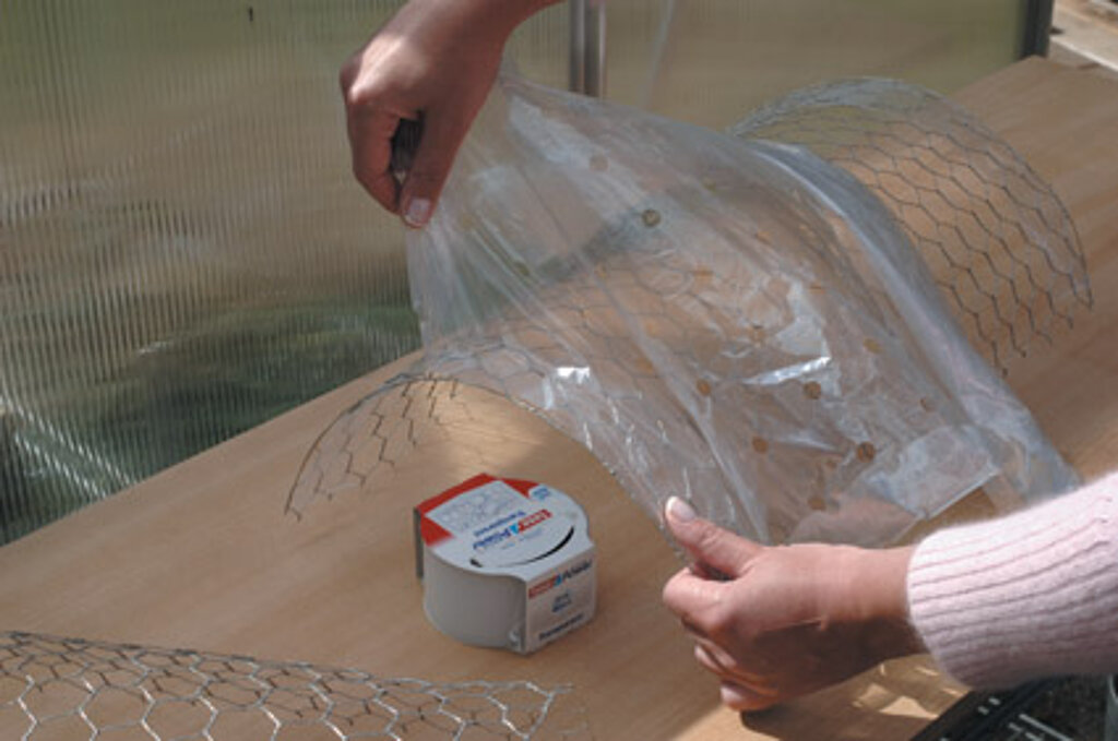 Mini-Gewächshaus: Plastikfolie befestigen