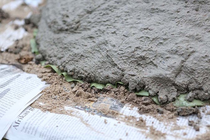 Vogeltränke Beton verteilen