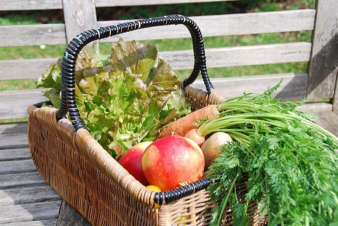 Gemüsegarten planen