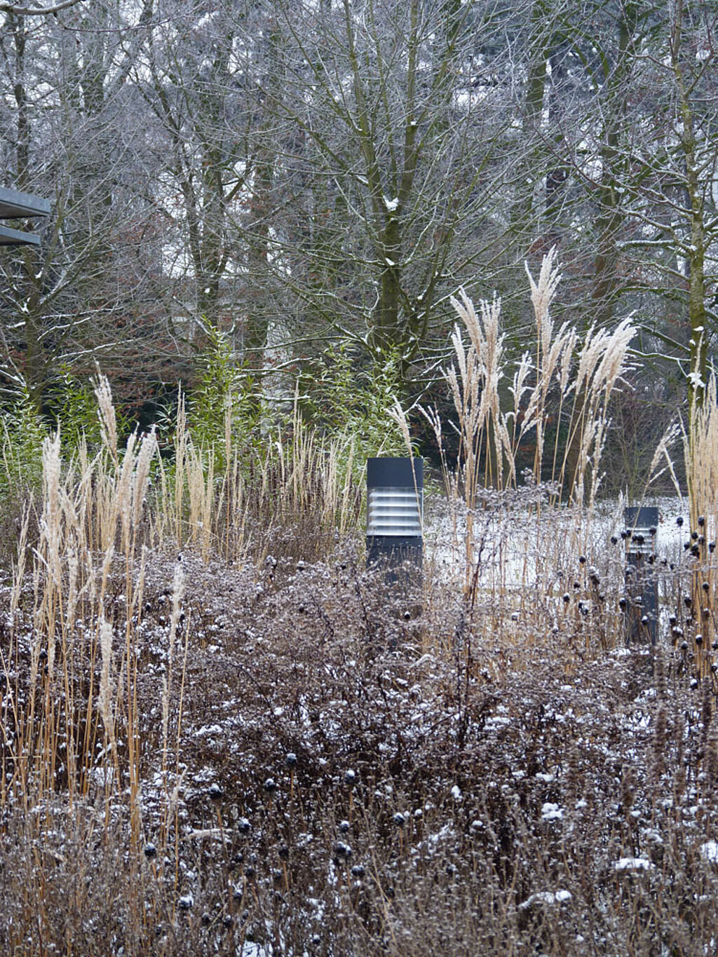 Garten im Winter Stauden 