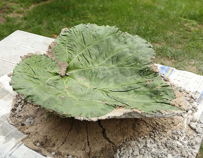 Vogeltränke Beton Blatt fertig