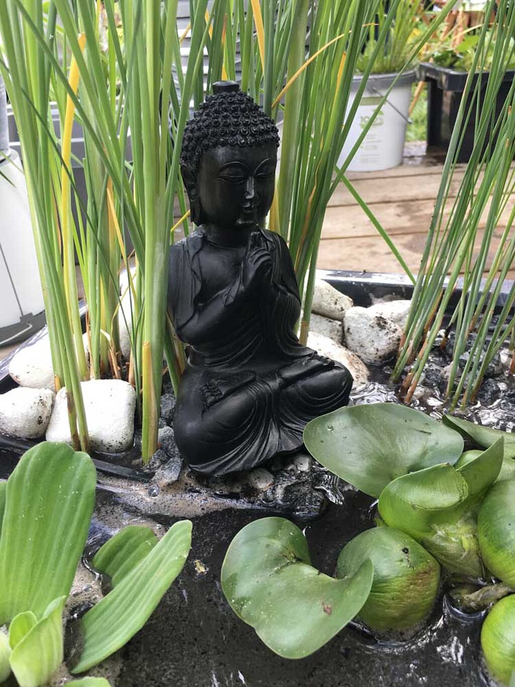 Miniteich mit Buddha-Figur