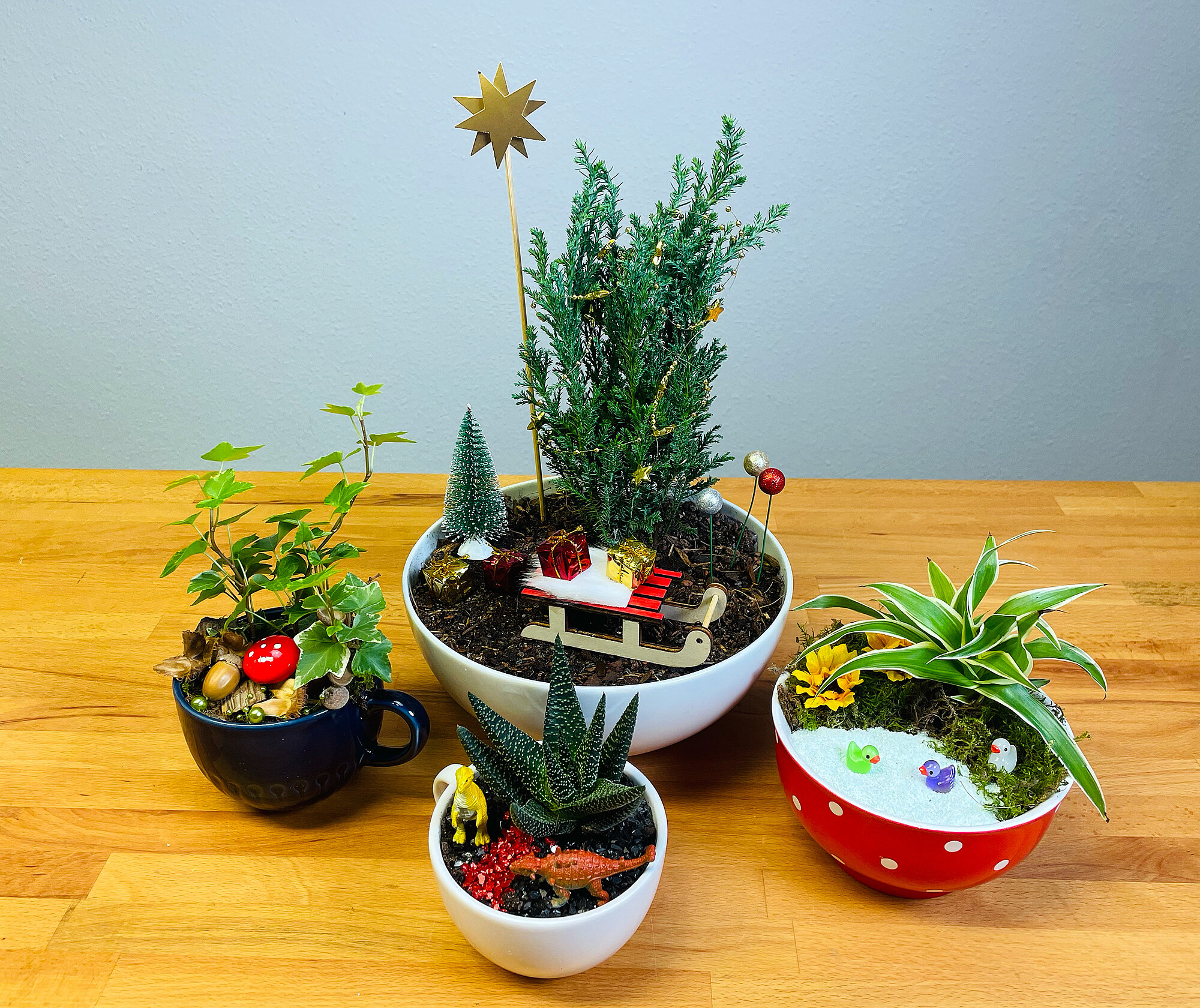 Tassengarten basteln: DIY-Geschenk mit Mini-Pflanzen