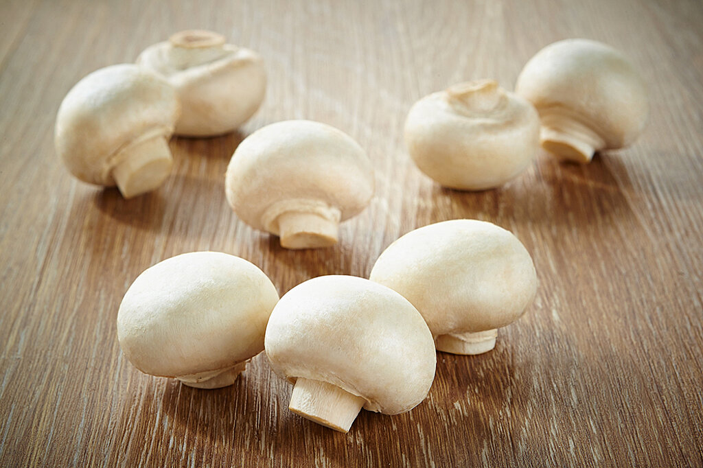 Pilze züchten