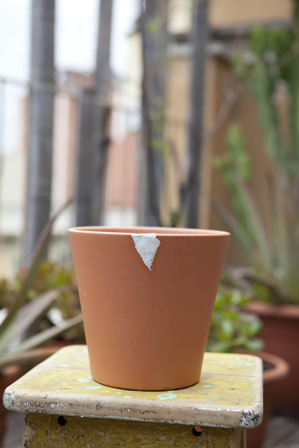 Blumentopf Terrakotta Riss