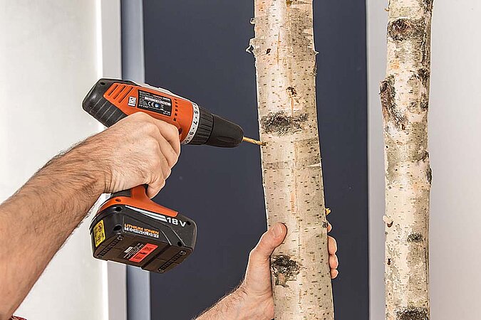 Raumteiler aus Birkenstämmen selber bauen