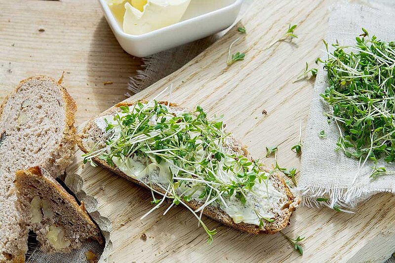 Kresse auf Butterbrot