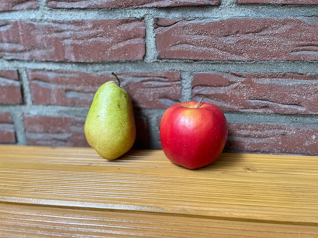 Tipps zur Apfelernte: ein Apfel liegt neben einer Birne
