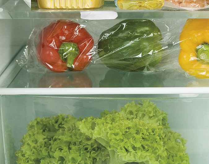Kühlschrank Glasplatte