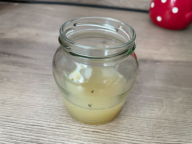 DIY-Essigfalle: Einfache Fruchtfliegenfalle aus einem Glas mit Essiglösung, aufgestellt auf einer Küchenarbeitsplatte zur natürlichen Insektenbekämpfung
