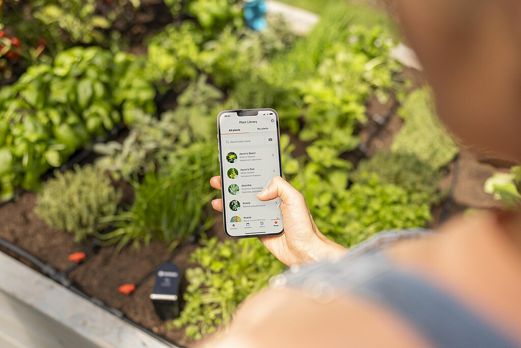 Frau nutzt ihr Smartphone zum automatischen Blumengießen