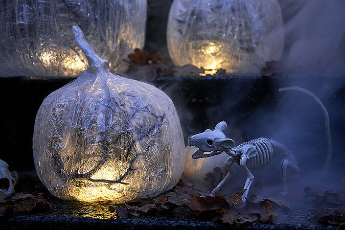 Leuchtende DIY-Deko zu Halloween