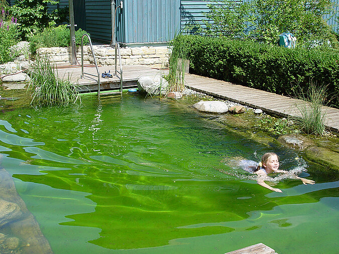 Maedchen schwimmt in einem Naturpool im Garten