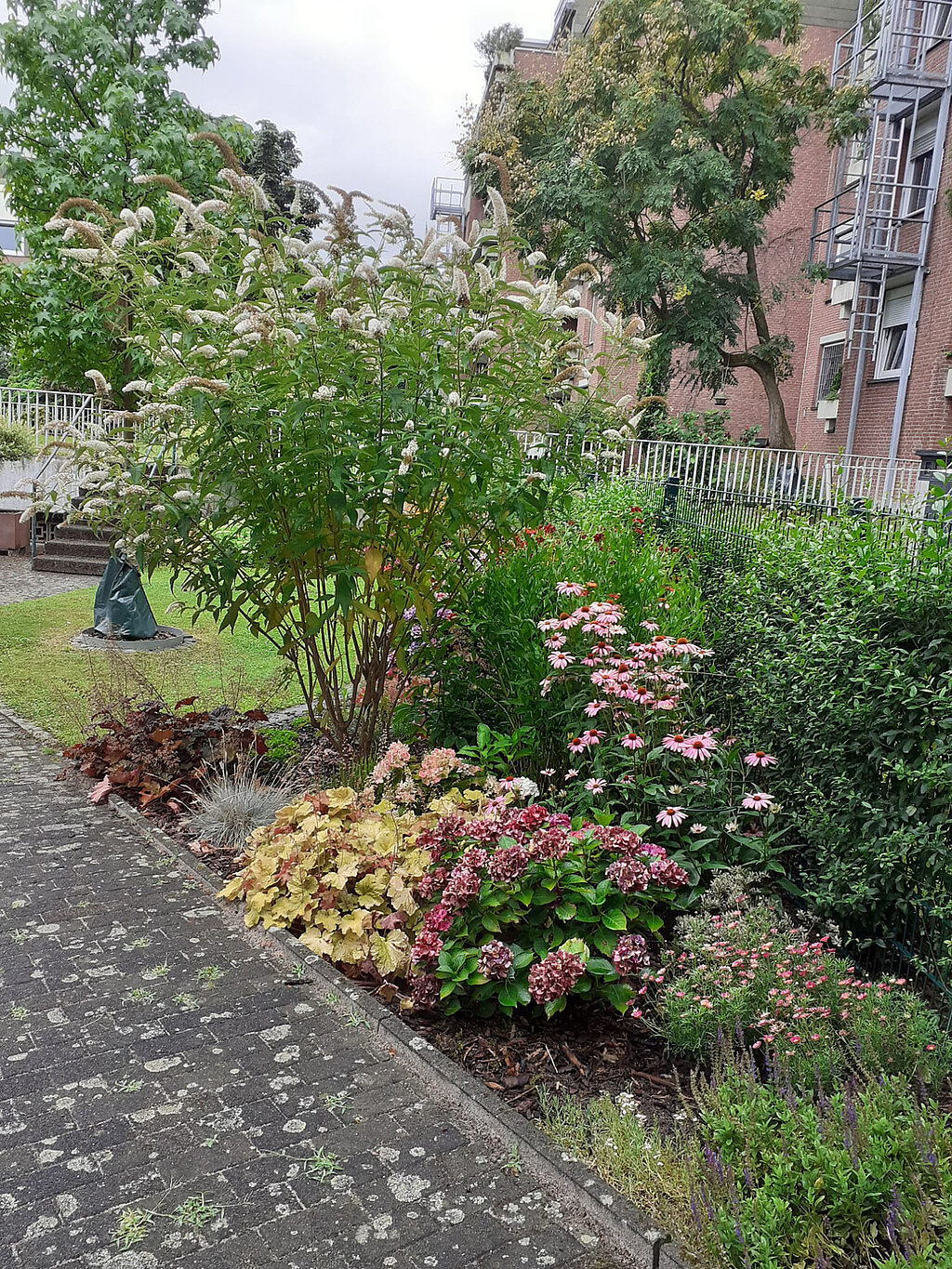 Gartenbild mit Flieder und Sonnenhut