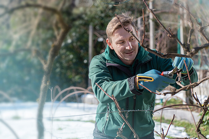 Pflanzen zurückschneiden im Herbst
