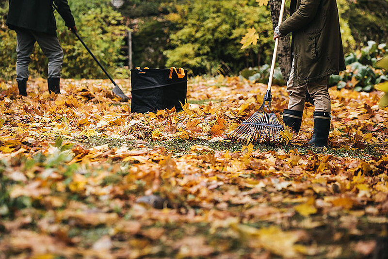 Herbstlaub entfernen