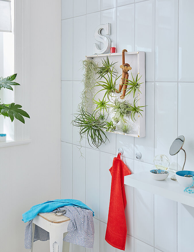 Wanddeko mit Pflanzen im Badezimmer, hängender Rahmen mit Luftpflanzen als natürliche und kreative Wandgestaltung