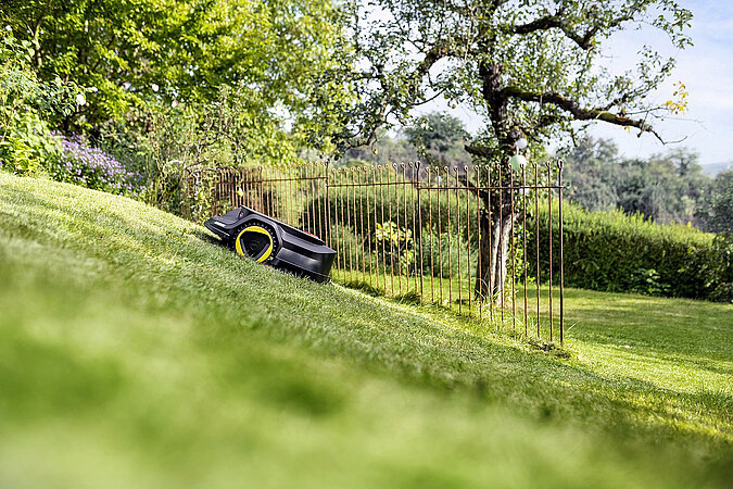 Maehroboter maeht Rasen an einem Hang in grossem Garten