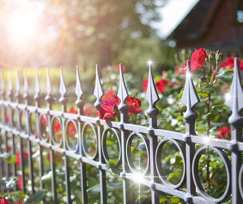 Metallzaun streichen – frisch lackierter silberner Gartenzaun mit dekorativen Spitzen im Sonnenlicht vor blühenden Rosen