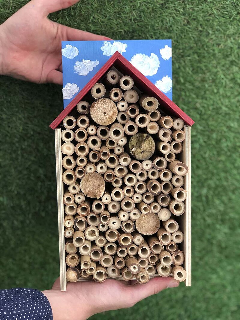 Insektenhotel bauen