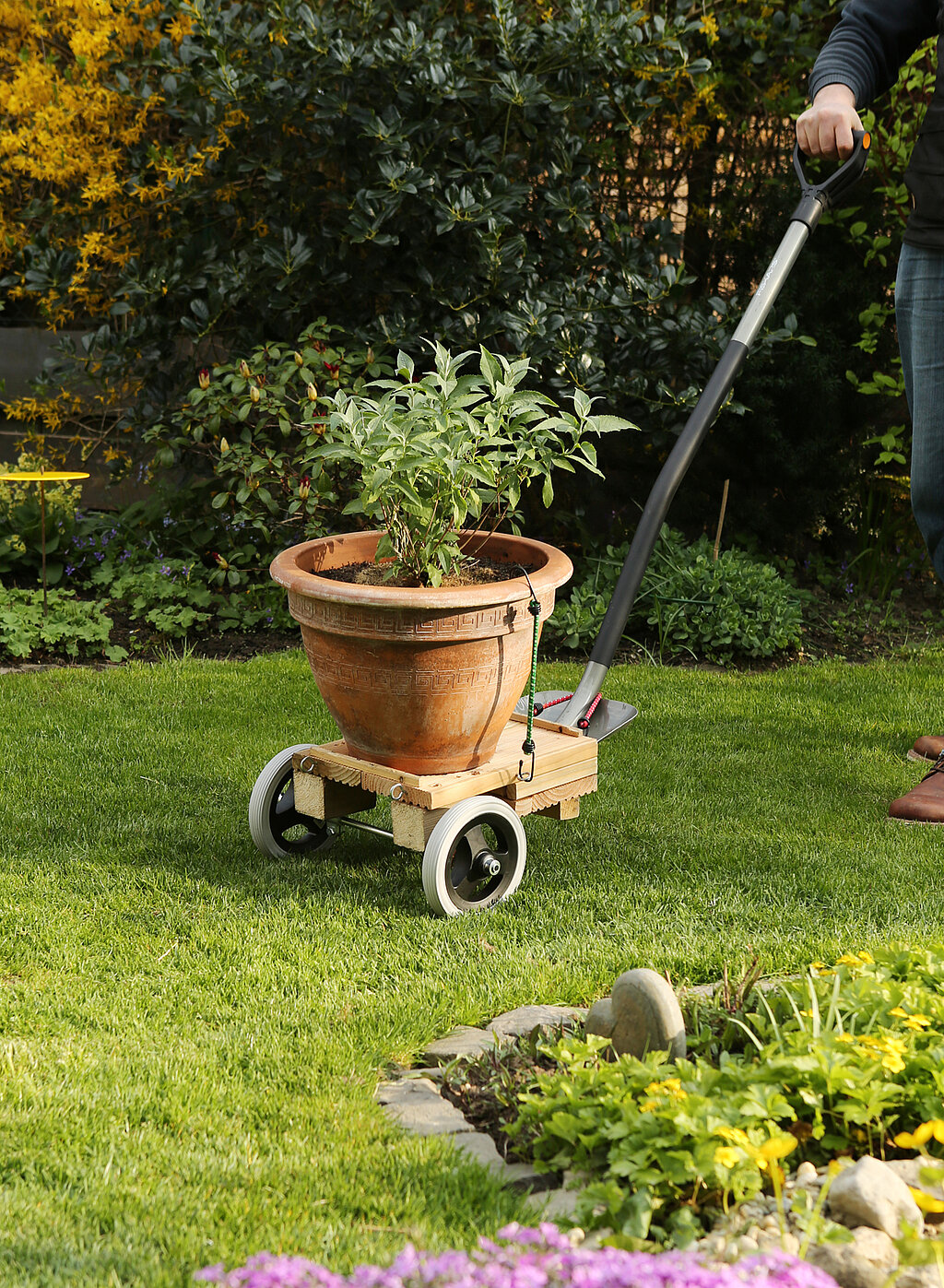 Pflanzenroller für den Garten bauen – DIY-Anleitung & Tipps